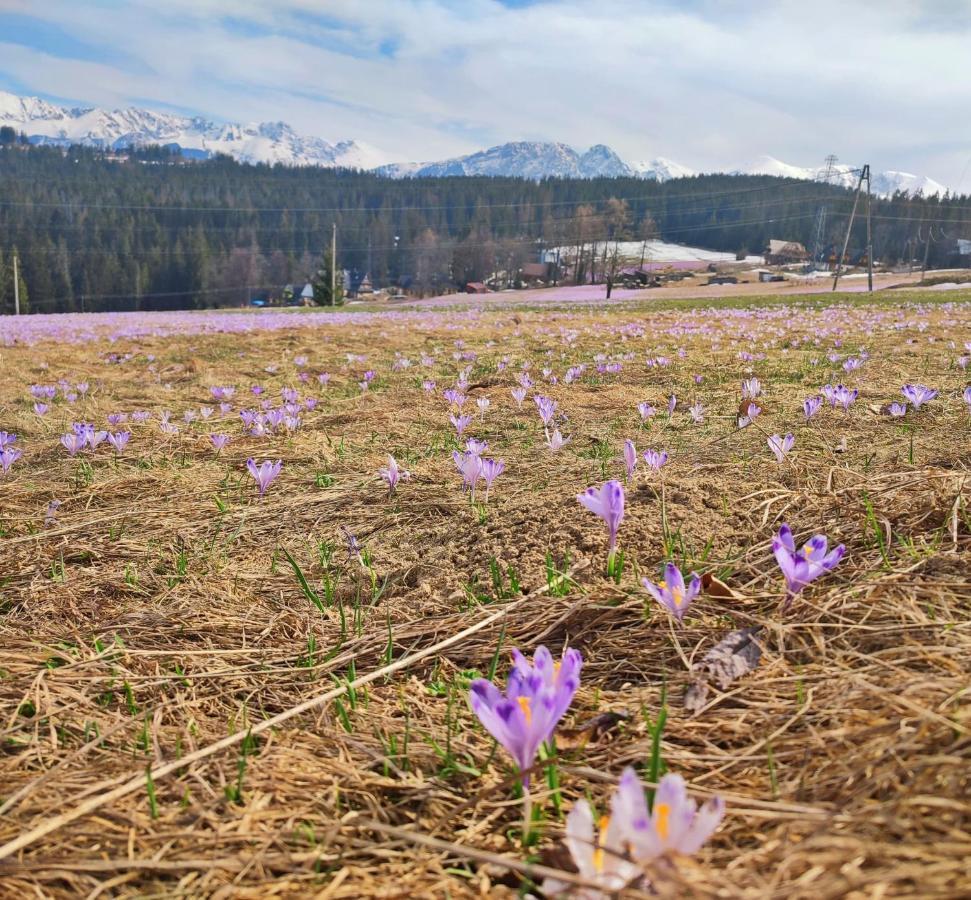 Willa Juna Tatry Nowe Bystre Exterior foto